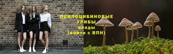прущие крисы Дмитриев