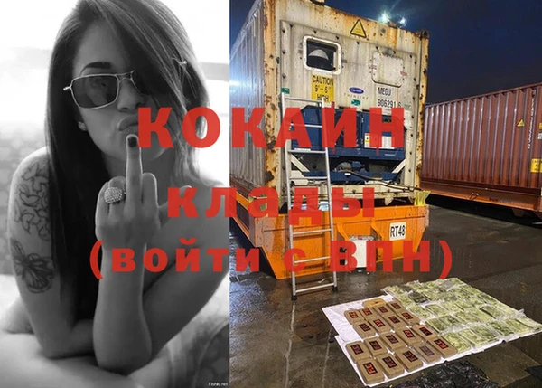 мдпв Дмитров