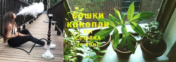 прущие крисы Дмитриев