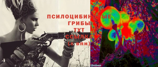 прущие крисы Дмитриев