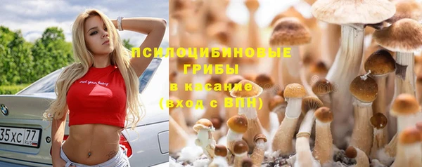 мдпв Дмитров